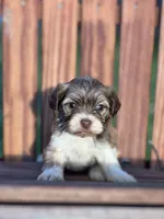 processed/b89f3324-c667-4c5a-a198-fb284c824684/listing/689abcd2-8289-41ce-9af8-7ebda104a061/de8c1f3b-865b-4cf9-ad40-72ef78a4c966