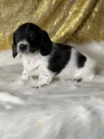 processed/b89f3324-c667-4c5a-a198-fb284c824684/listing/c18affb8-1673-4c24-91a8-37b154ad7d50/a9216abc-6ffb-4afb-8be6-ca130aedb3d6