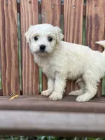 processed/b89f3324-c667-4c5a-a198-fb284c824684/listing/f8836df9-51c9-49a0-a270-60dce1bf816f/93ff9214-3bf7-4ff9-a463-414238dfe0ee