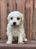 processed/b89f3324-c667-4c5a-a198-fb284c824684/listing/f8836df9-51c9-49a0-a270-60dce1bf816f/9fd354a5-f1bc-4a5e-b22b-d354f33f97b5