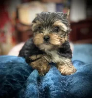 processed/b8a14a04-7e8d-42a4-b836-c37db295c13e/facility/3baa4076-4941-4534-a367-68b8eaacf2f7