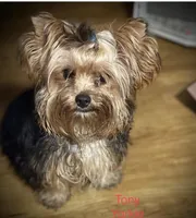 processed/b8a14a04-7e8d-42a4-b836-c37db295c13e/facility/c6c5e28a-e341-4711-91a6-0fe04dfe526e