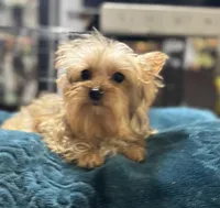 processed/b8a14a04-7e8d-42a4-b836-c37db295c13e/facility/f6bb273a-50de-4c1c-b242-b64bda574a3a