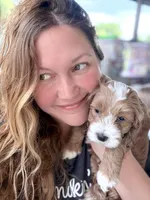 Ez-Zee Dee (Petite Goldendoodle boy), a male Miniature Goldendoodle for sale in Louisville, KY – 7 of 7