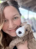 Adalee (Petite Goldendoodle Girl), a female Miniature Goldendoodle for sale in Louisville, KY – 1 of 10