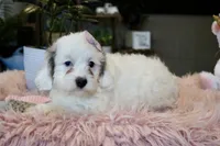 processed/b8b7b61d-fe32-411c-b3d8-40d6ac1747bd/listing/3a1d8da8-9226-408d-bcbc-b65364f2e64e/4adc5aa4-211b-4644-a1a6-8cd5317d6323