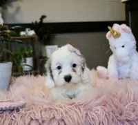 processed/b8b7b61d-fe32-411c-b3d8-40d6ac1747bd/listing/3a1d8da8-9226-408d-bcbc-b65364f2e64e/68b634bd-f7d7-4e1a-a83e-ffc4936024a3