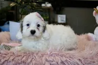 processed/b8b7b61d-fe32-411c-b3d8-40d6ac1747bd/listing/3a1d8da8-9226-408d-bcbc-b65364f2e64e/ee724e07-d6af-46ee-8367-7c60e3aa49cf