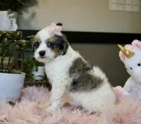 processed/b8b7b61d-fe32-411c-b3d8-40d6ac1747bd/listing/5e973172-8e98-4278-ae33-25f809af608e/7cad6f96-fcc6-47e5-9433-c19fd57124b1