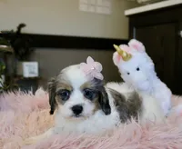 processed/b8b7b61d-fe32-411c-b3d8-40d6ac1747bd/listing/5e973172-8e98-4278-ae33-25f809af608e/f45e949a-2ff9-45e2-a521-559f20e120c9