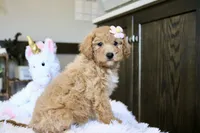 processed/b8b7b61d-fe32-411c-b3d8-40d6ac1747bd/listing/86621218-ec4d-44f4-85fd-ee8477a5039b/28caa4a4-9b40-4d99-9f5b-906beba90699