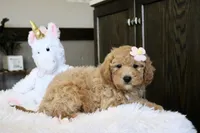 processed/b8b7b61d-fe32-411c-b3d8-40d6ac1747bd/listing/86621218-ec4d-44f4-85fd-ee8477a5039b/4f85e6f2-52dc-428b-838f-244de5afda87