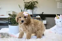 processed/b8b7b61d-fe32-411c-b3d8-40d6ac1747bd/listing/86621218-ec4d-44f4-85fd-ee8477a5039b/880e5ea2-1160-4323-a824-d7808ab3bed6