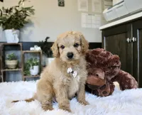 processed/b8b7b61d-fe32-411c-b3d8-40d6ac1747bd/listing/b456846d-6cf0-4a75-9ea5-75932929bf12/6a640bdf-0a17-4c20-be4b-77c72aa402fb