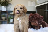 processed/b8b7b61d-fe32-411c-b3d8-40d6ac1747bd/listing/b456846d-6cf0-4a75-9ea5-75932929bf12/6db23930-f9ba-4006-b188-9b340c948f4f