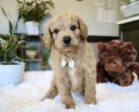 processed/b8b7b61d-fe32-411c-b3d8-40d6ac1747bd/listing/b456846d-6cf0-4a75-9ea5-75932929bf12/8c62cf80-6dc8-4fe1-bd3b-46278c6d7327