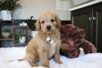 processed/b8b7b61d-fe32-411c-b3d8-40d6ac1747bd/listing/b456846d-6cf0-4a75-9ea5-75932929bf12/dc429b1c-d745-4e67-8705-ad06a2d0282a