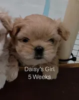 processed/b8c3c882-f1fc-49c4-988f-a53e8da44ab4/listing/867a31c4-e00a-4ef4-9bab-9a4a02954ed4/3c65ad49-a937-4b86-b8a4-d40383b3d4c7