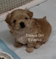 processed/b8c3c882-f1fc-49c4-988f-a53e8da44ab4/listing/867a31c4-e00a-4ef4-9bab-9a4a02954ed4/9d30e171-df85-462d-ba18-aa62c9041846