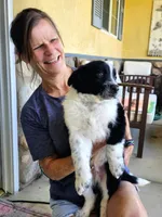 Little Man, a male Border Collie for sale in Bakersfield, CA – 7 of 10
