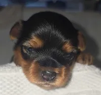 processed/b8d3e377-1b78-4bba-a9b3-9a37b4325401/facility/385594b8-bd78-46bd-ae97-258c7b63592e