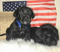 processed/b8d3e377-1b78-4bba-a9b3-9a37b4325401/facility/5da5b041-df32-46d7-a97a-537a1e75e462