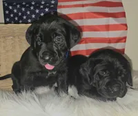 processed/b8d3e377-1b78-4bba-a9b3-9a37b4325401/facility/8278ad6c-04d3-4deb-8ad7-a70978d68d3a