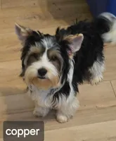 processed/b8d3e377-1b78-4bba-a9b3-9a37b4325401/facility/9d6348ca-2d33-4e67-a525-896c5d955652