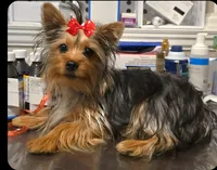 processed/b8d3e377-1b78-4bba-a9b3-9a37b4325401/listing/80982c6b-cdf4-41aa-910a-3803adfb6469/4bcd103a-a896-4705-888f-41043951026d