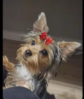 processed/b8d3e377-1b78-4bba-a9b3-9a37b4325401/listing/80982c6b-cdf4-41aa-910a-3803adfb6469/958ef252-85c8-4a2f-b8e6-c11286460d45