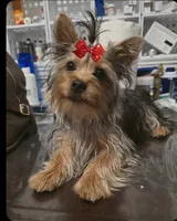 processed/b8d3e377-1b78-4bba-a9b3-9a37b4325401/listing/80982c6b-cdf4-41aa-910a-3803adfb6469/cd1d7d00-74f4-4d39-8294-c2bd664041ac