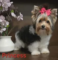 processed/b8d3e377-1b78-4bba-a9b3-9a37b4325401/listing/82fec3c2-628d-4ccf-8e37-69e86691b35b/16d712c8-1685-4a4d-aad0-968f4690e1b7