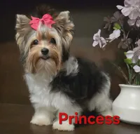 processed/b8d3e377-1b78-4bba-a9b3-9a37b4325401/listing/82fec3c2-628d-4ccf-8e37-69e86691b35b/7085e62e-cd0b-433c-9ed9-86b6c728b388