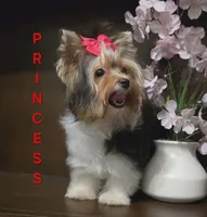 processed/b8d3e377-1b78-4bba-a9b3-9a37b4325401/listing/82fec3c2-628d-4ccf-8e37-69e86691b35b/dd39a43d-90fb-4aa3-be8e-f11a346c8ddb