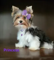 processed/b8d3e377-1b78-4bba-a9b3-9a37b4325401/listing/ad78d70b-9f6d-4ab7-b51e-20dda0a61548/1aee10d5-a6c6-4792-af4c-07b57c0a4aba