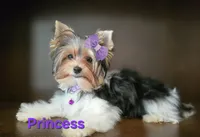 processed/b8d3e377-1b78-4bba-a9b3-9a37b4325401/listing/ad78d70b-9f6d-4ab7-b51e-20dda0a61548/4af09e9e-a451-4e22-893f-8ba479fe4f78