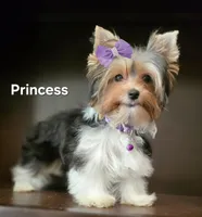 processed/b8d3e377-1b78-4bba-a9b3-9a37b4325401/listing/ad78d70b-9f6d-4ab7-b51e-20dda0a61548/cbfd4943-c6f3-49e0-84e1-19eb1fe77af6