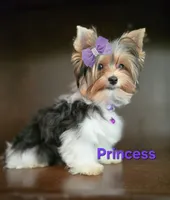 processed/b8d3e377-1b78-4bba-a9b3-9a37b4325401/listing/ad78d70b-9f6d-4ab7-b51e-20dda0a61548/ec697f3a-c56e-4bef-a1e1-9aea37424607