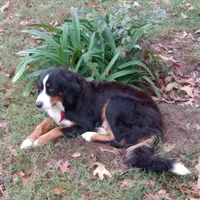 processed/b8d8bad6-8d3c-465e-9f5e-4607333fc422/listing/887bb41e-8e2b-4fc9-a666-75eea6d9e4ed/7377a834-f9ca-476d-b546-835334f31842