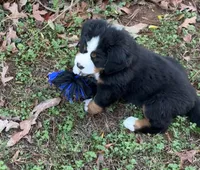 processed/b8d8bad6-8d3c-465e-9f5e-4607333fc422/listing/887bb41e-8e2b-4fc9-a666-75eea6d9e4ed/7446b49a-2e17-429f-9cea-71189758c352