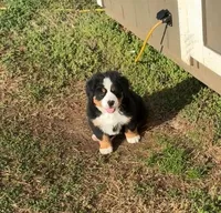 processed/b8d8bad6-8d3c-465e-9f5e-4607333fc422/listing/887bb41e-8e2b-4fc9-a666-75eea6d9e4ed/e1883291-ea53-4168-acba-7764da1b17b6