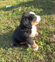 processed/b8d8bad6-8d3c-465e-9f5e-4607333fc422/listing/887bb41e-8e2b-4fc9-a666-75eea6d9e4ed/f0fa62c7-e541-44e2-8f13-6681b2cc7ed8