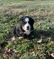 processed/b8d8bad6-8d3c-465e-9f5e-4607333fc422/listing/ef8df4b9-099b-46dd-9b4d-593011ef03d2/86e6255e-4c66-40a1-a4b4-f7c7f0ae3de7