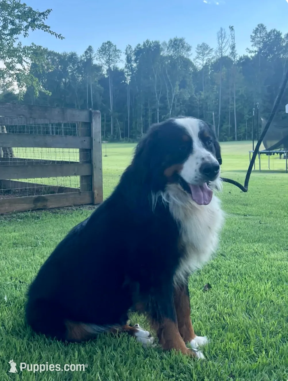 processed/b8d8bad6-8d3c-465e-9f5e-4607333fc422/listing/ef8df4b9-099b-46dd-9b4d-593011ef03d2/8ecbe6a5-b532-48c9-aa6e-009e681934ea