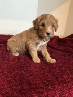 processed/b8e52383-c337-4b20-bab5-698cea8b7dfb/listing/1fb01e23-b160-4cd3-92dd-bc3f7398fa75/db1bbbc1-03bb-4154-93b3-f0e02d994799