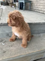 processed/b8e52383-c337-4b20-bab5-698cea8b7dfb/listing/a19de89f-22e6-4a2b-beef-ee46ebf8e67f/769af141-55ba-4210-8f47-668763af0452