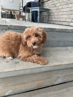 processed/b8e52383-c337-4b20-bab5-698cea8b7dfb/listing/a19de89f-22e6-4a2b-beef-ee46ebf8e67f/b71b2add-bab6-420a-adf8-043186bff8fe