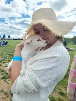 Tanya Snow, a female Jack Russell Terrier for sale in Plainfield, NJ – 1 of 5