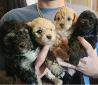 processed/b8ee3606-1db3-470a-93b8-a5ed9591d1fe/facility/9c4d0982-2930-4389-a783-c9778f23cc1a