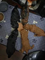 processed/b8ee3606-1db3-470a-93b8-a5ed9591d1fe/listing/ab2f6a8a-41a8-459b-989f-aa92da3faa6e/09608784-a813-4243-8e8a-55c354d0ec4b